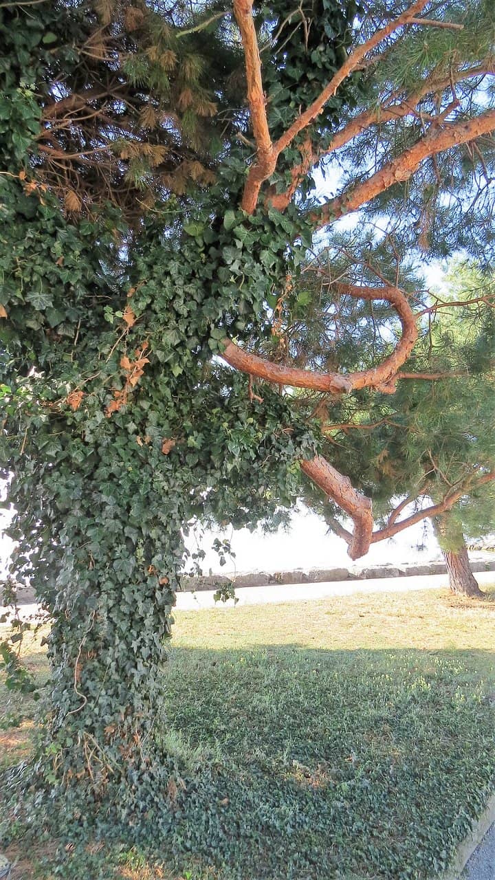 Playgrounds for Kids