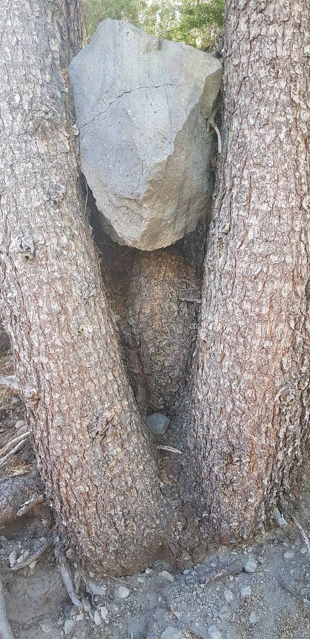 Vertical photo