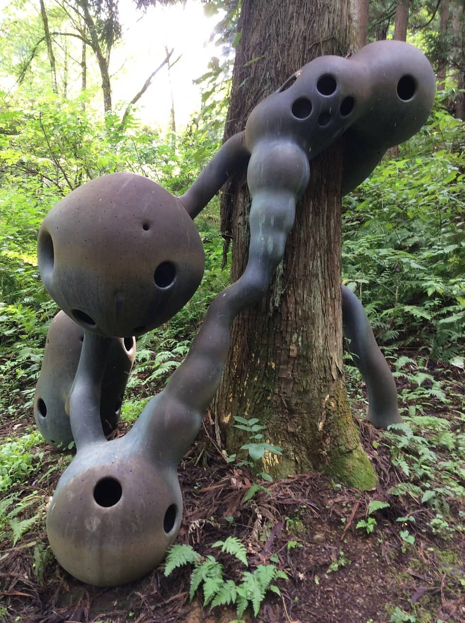 Kominato Railway Ride