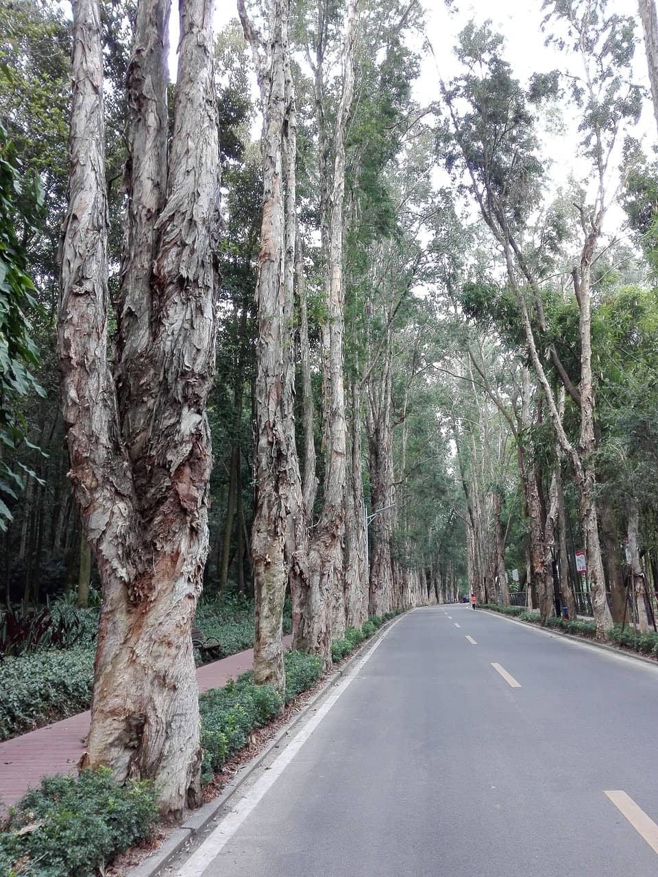 Song Dynasty Hiking Path