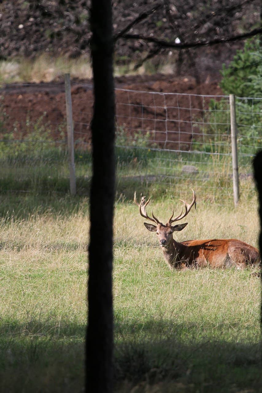 Scenic Walking Trails