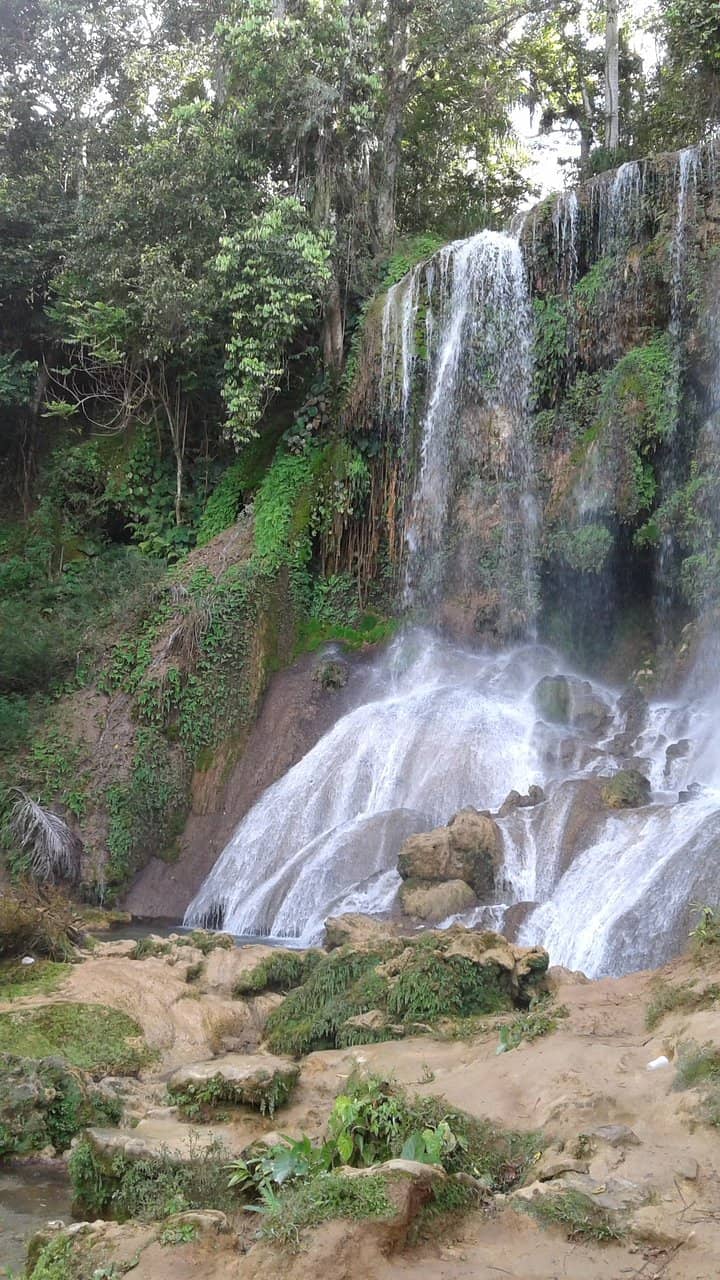 Natural Swimming Pools