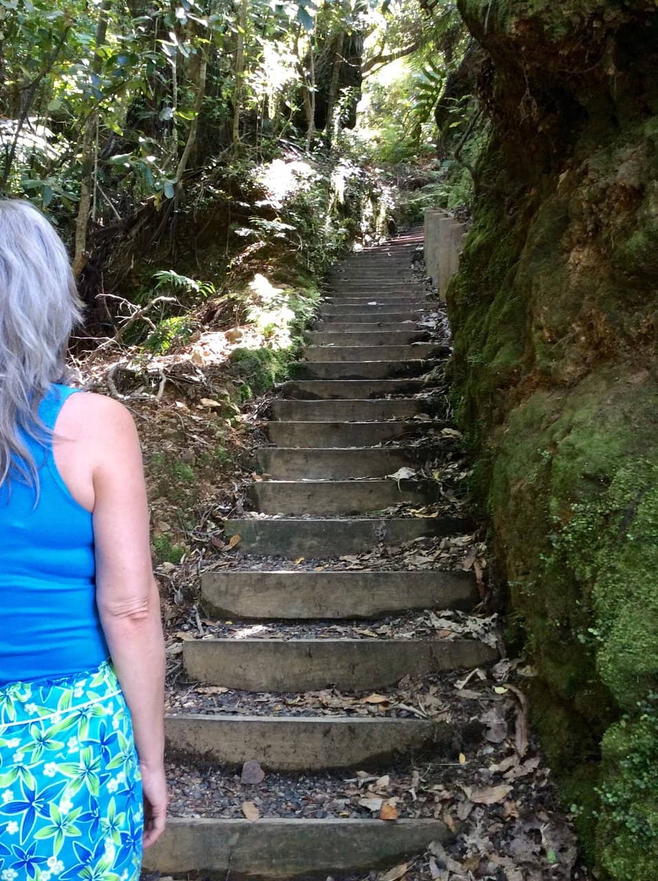 Native Bush Walk