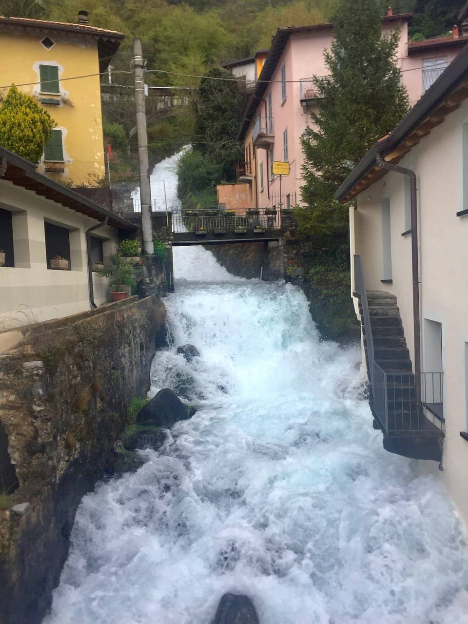 Leonardo da Vinci's Inspiration