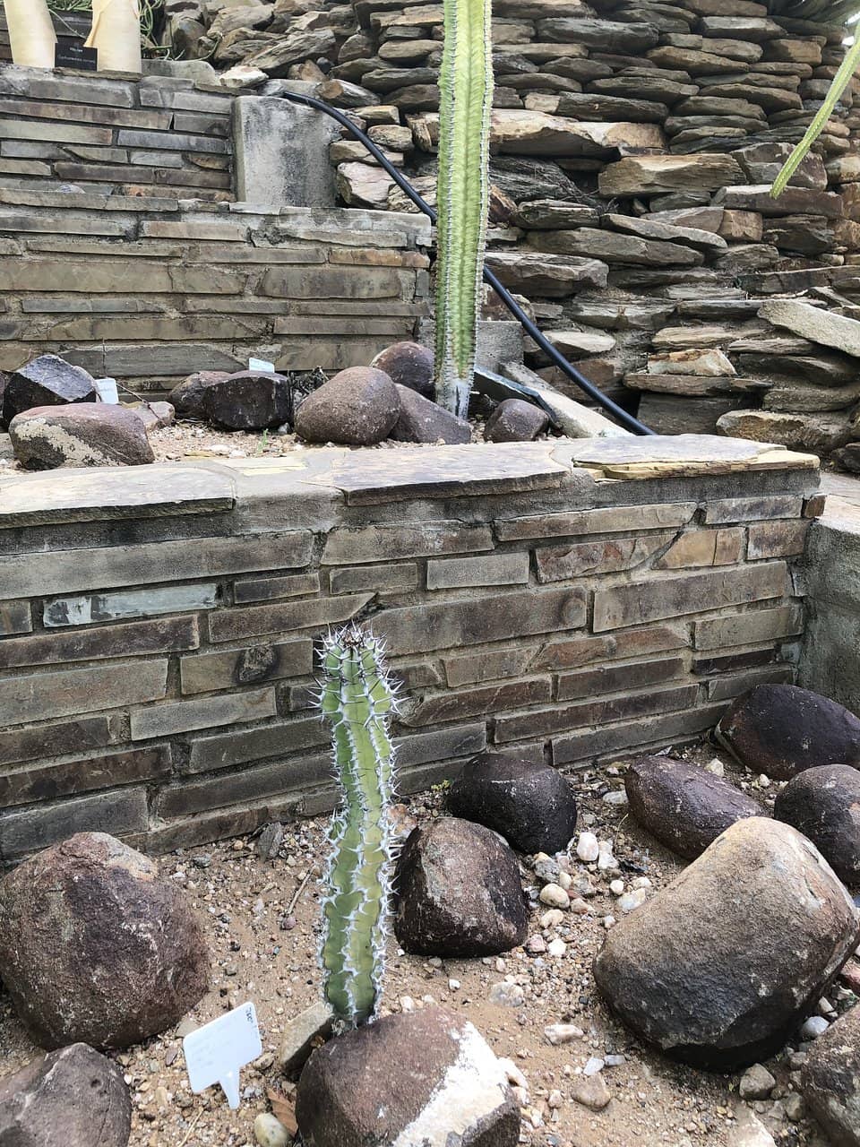 Birdwatching Opportunities