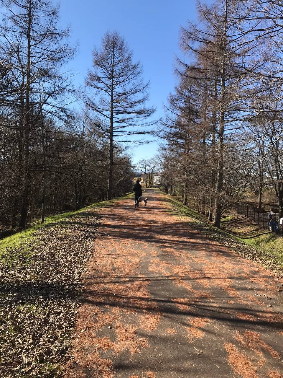Spacious Picnic Areas