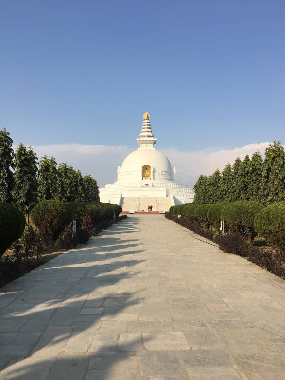 Peaceful Gardens & Lotus Pond