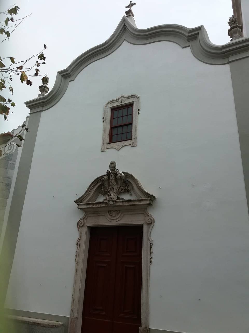 Vertical photo