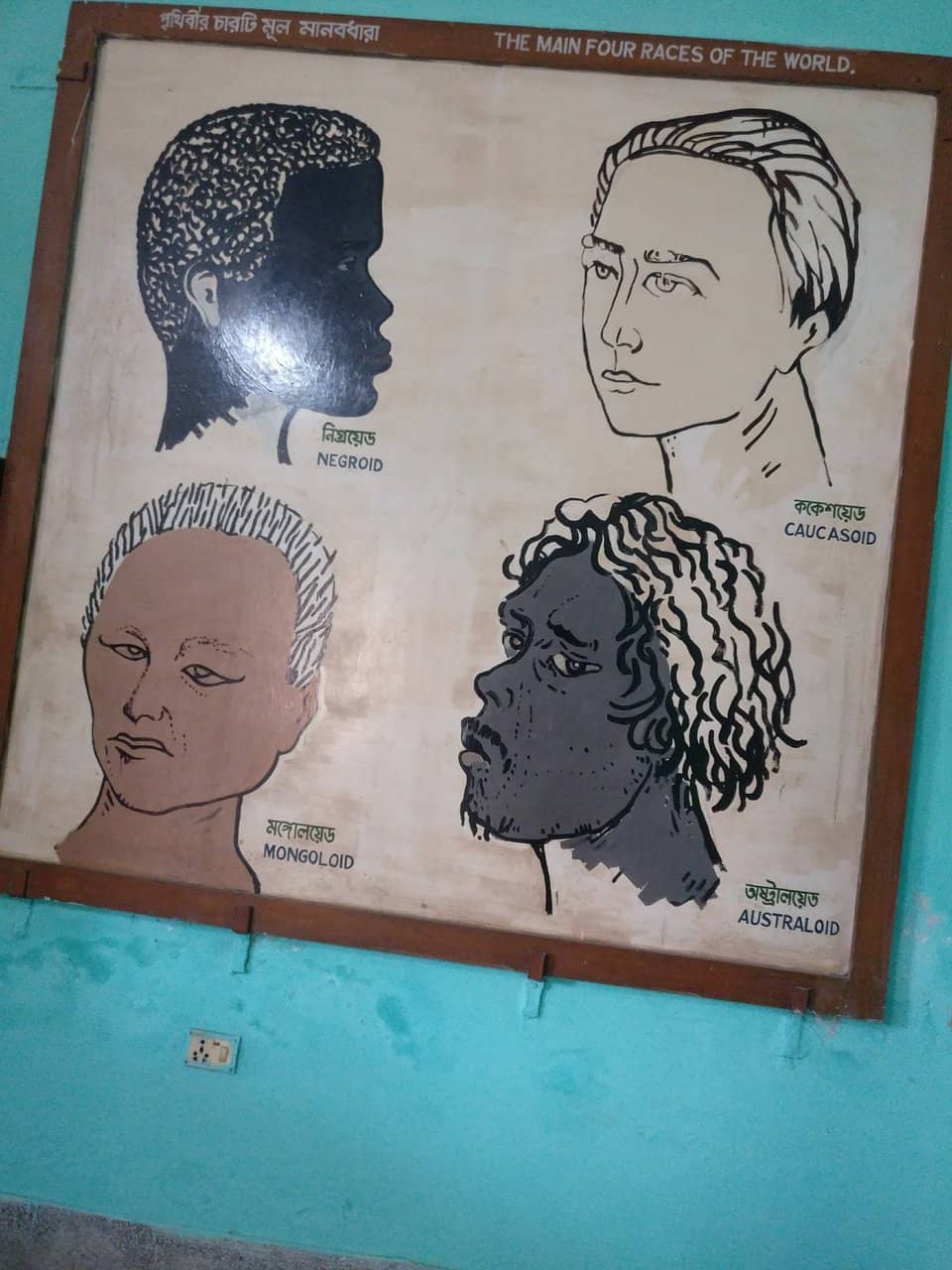 Vertical photo