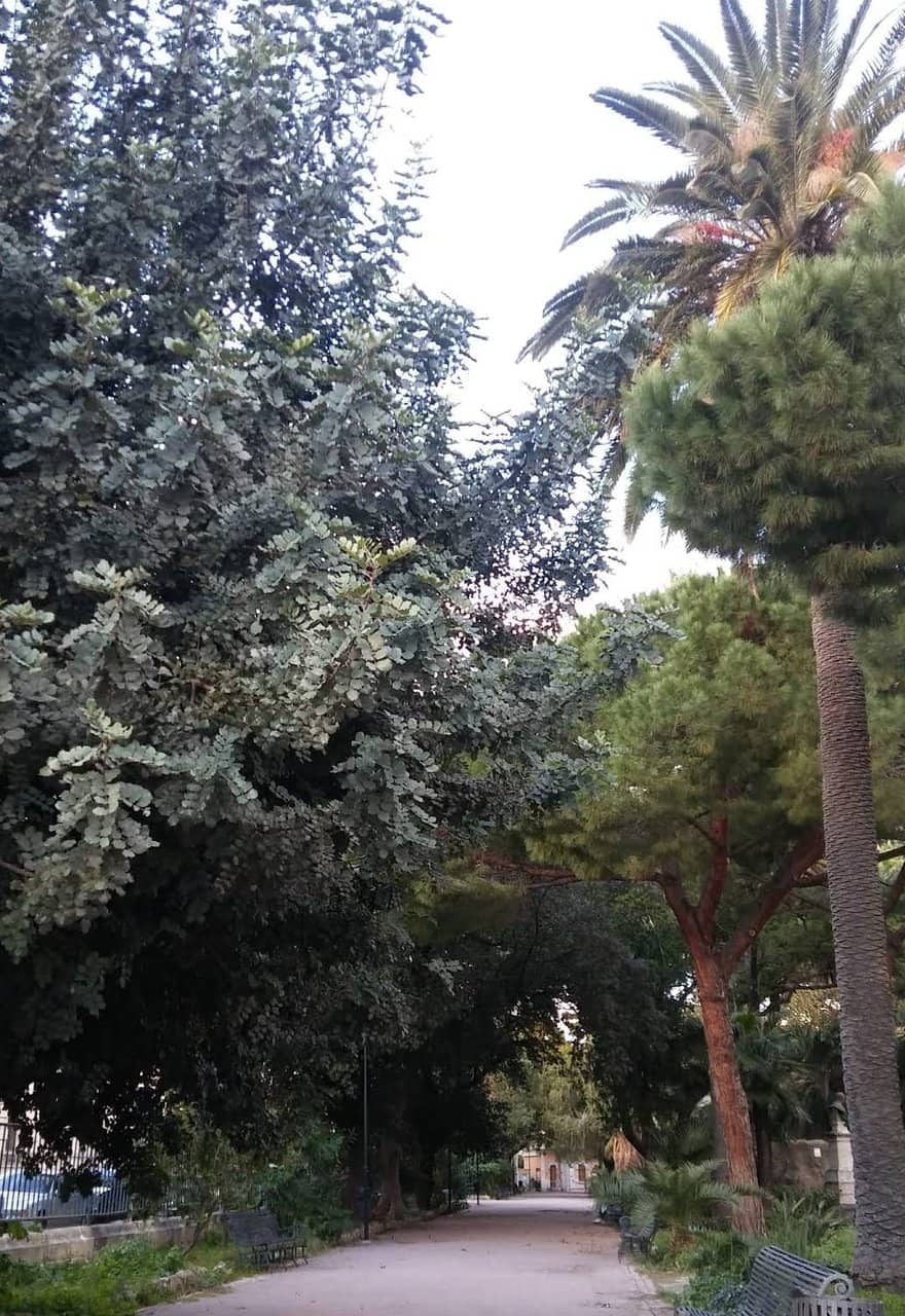 Vertical photo
