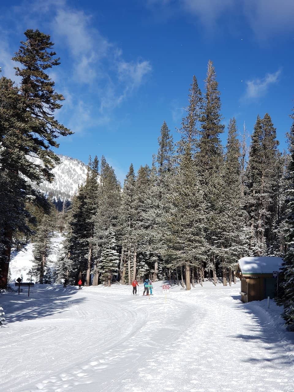 Full Moon Ski Tours