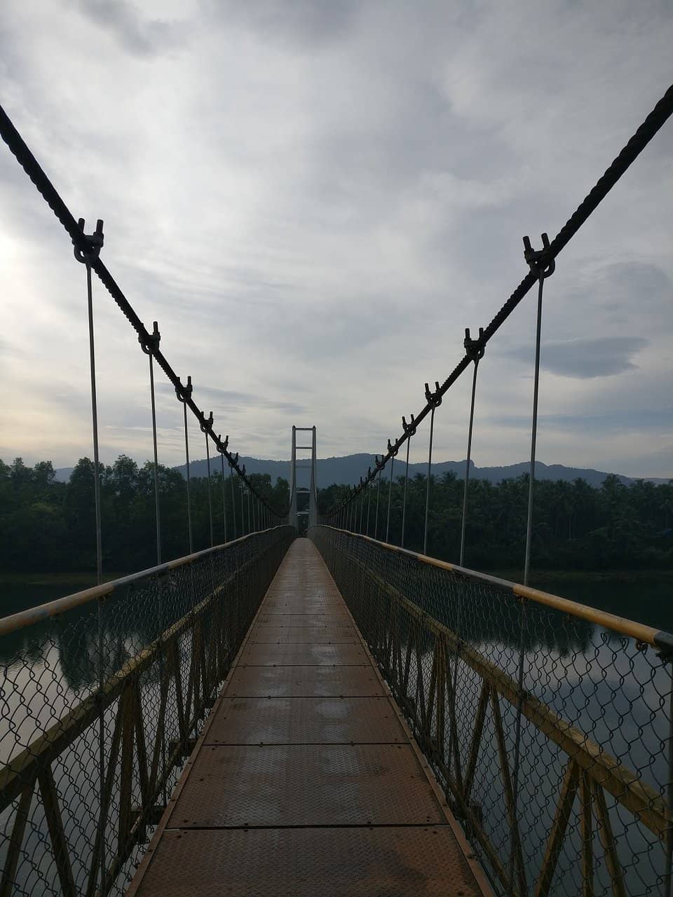 Vertical photo
