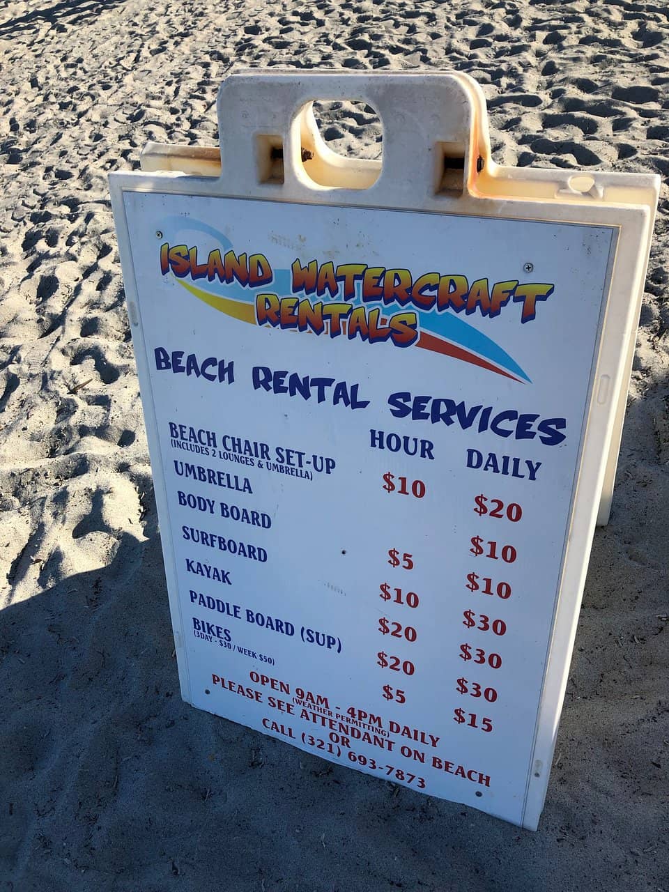 Flamboyant Trees in Bloom