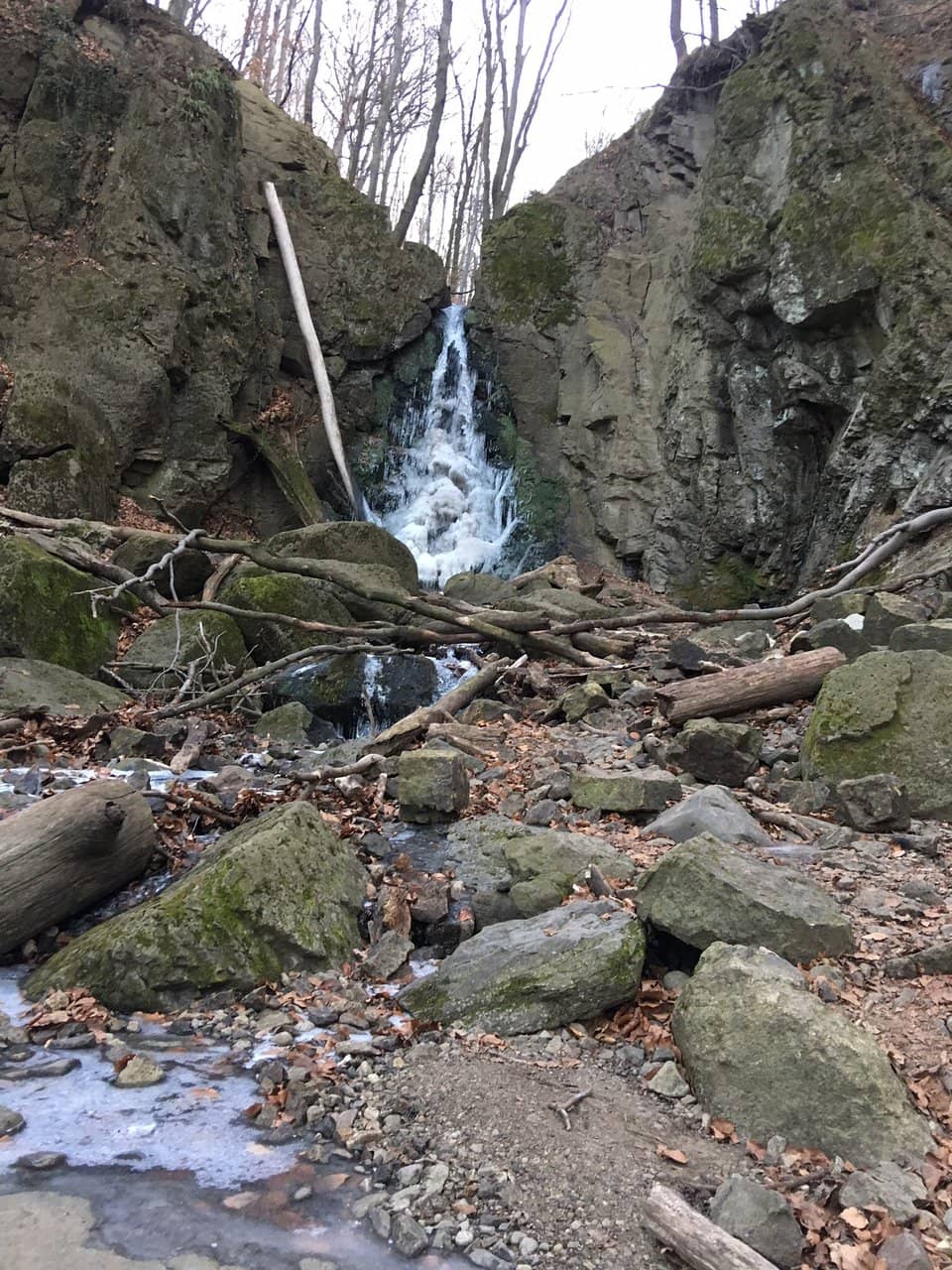 Vertical photo