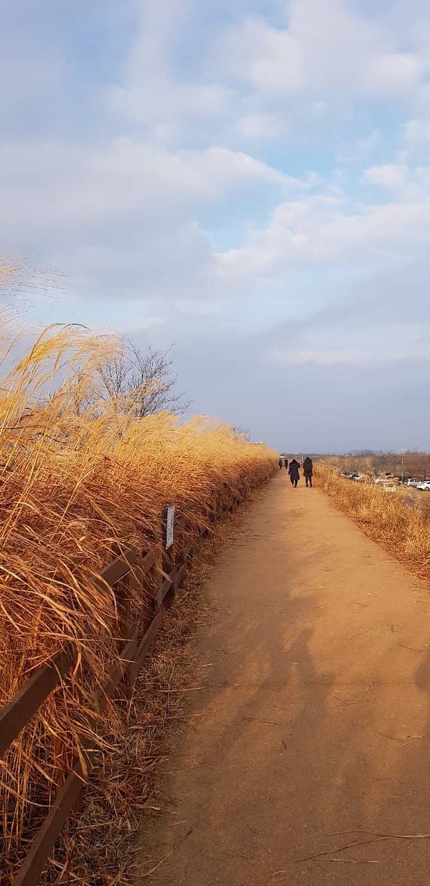 Scenic Cycling Trails