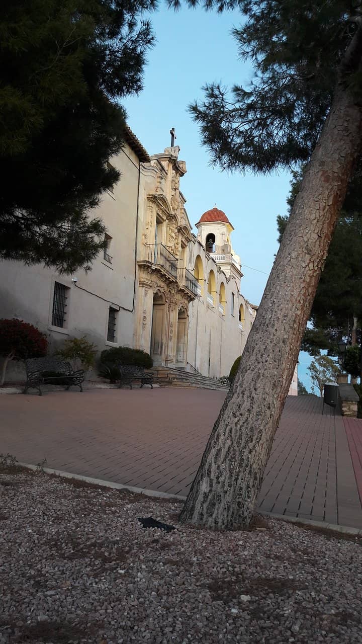 Vertical photo