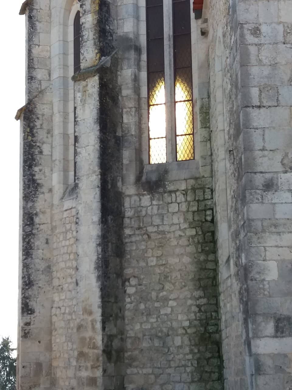 Vertical photo