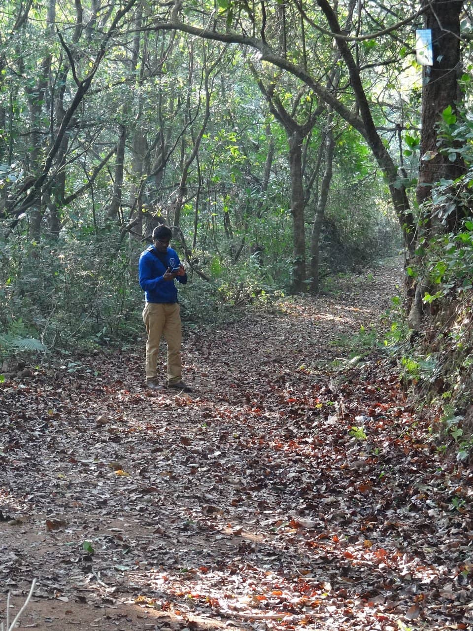 Rani Jhari View Point