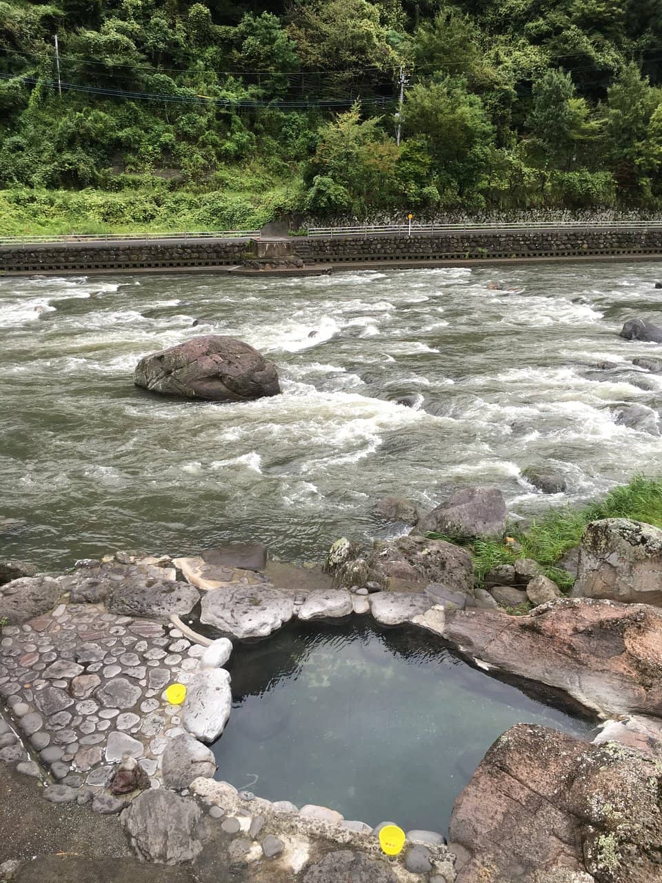Traditional Ryokan Stay