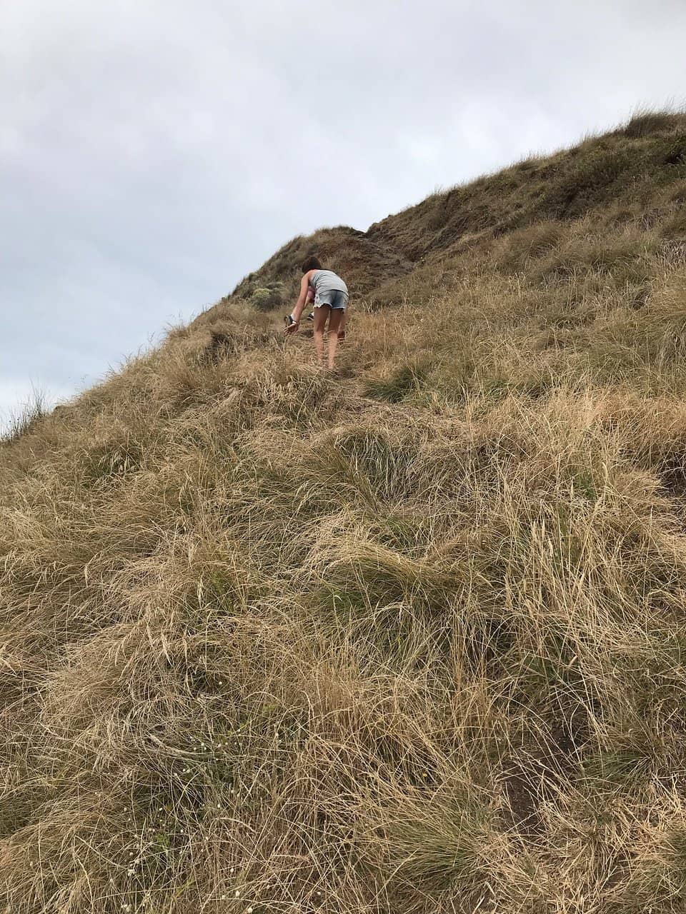 Kitty Miller Bay Beach