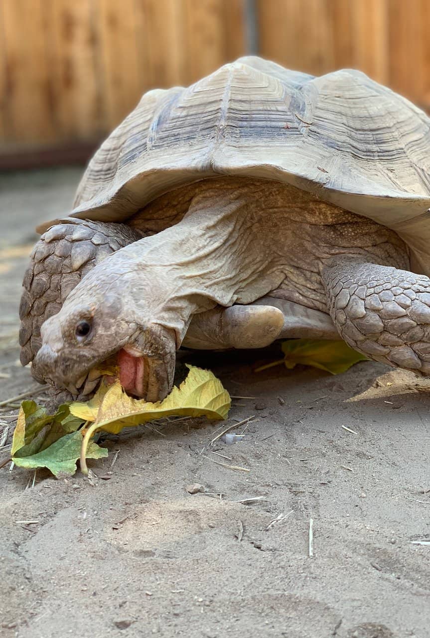 Interactive Science Stations