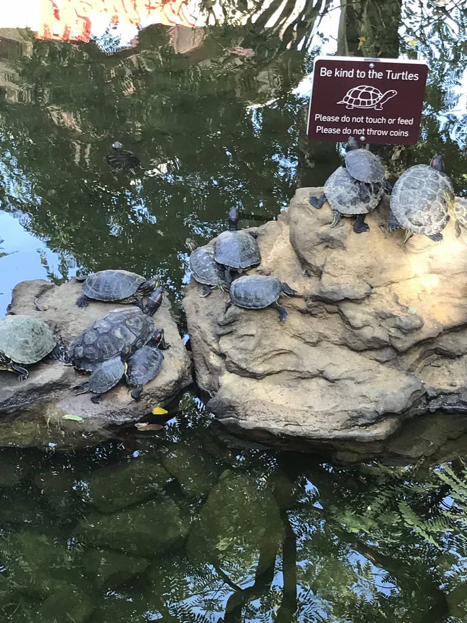 Crab N Spice Seafood Boil