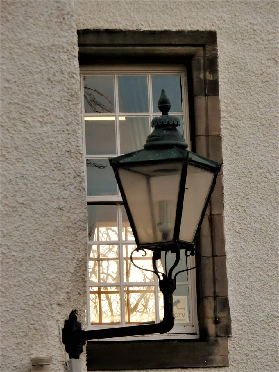 Vertical photo