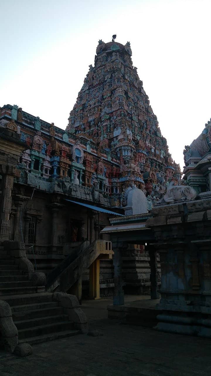 Bull and Elephant Sculpture