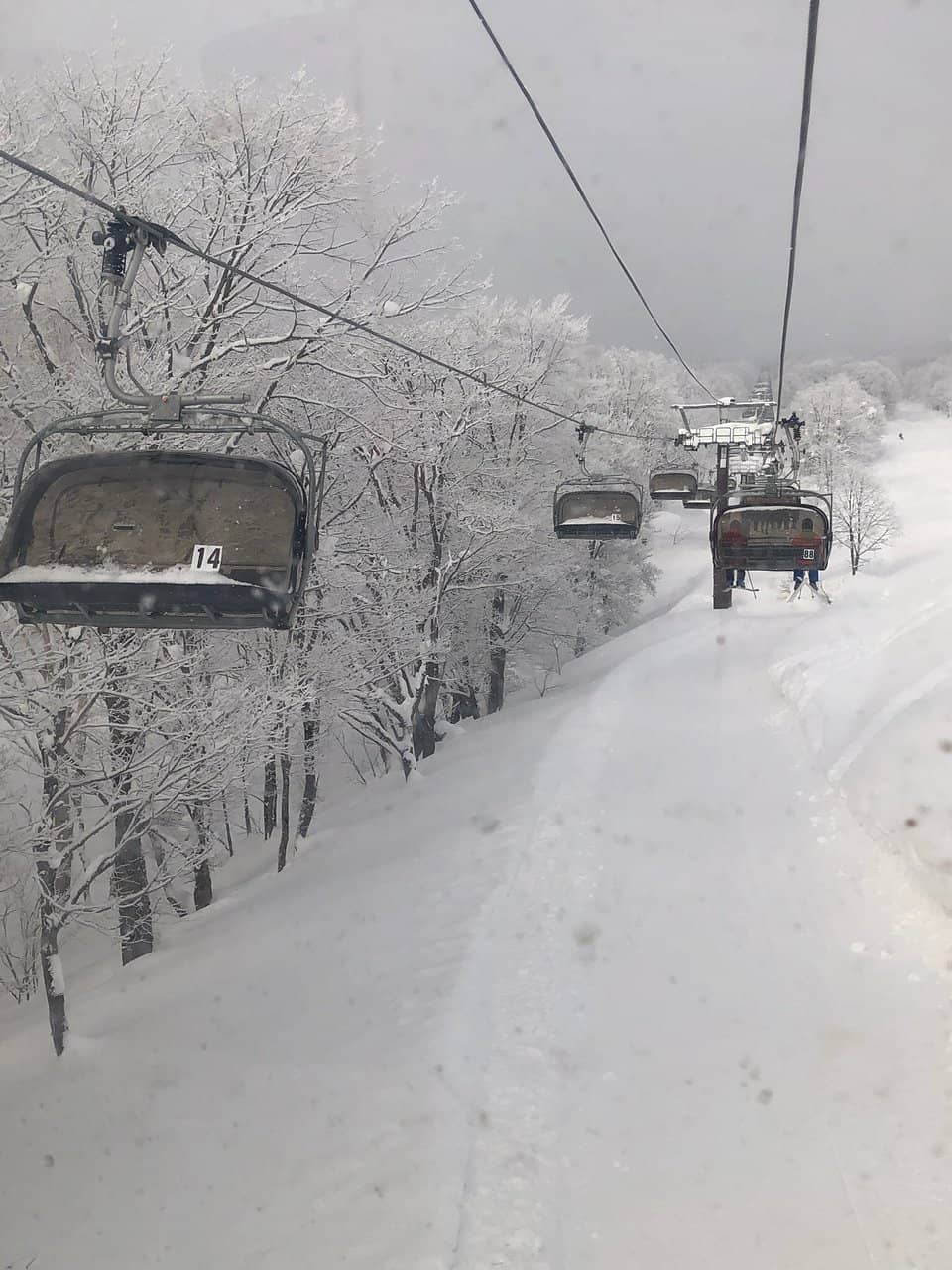 Buffet Dining Experience