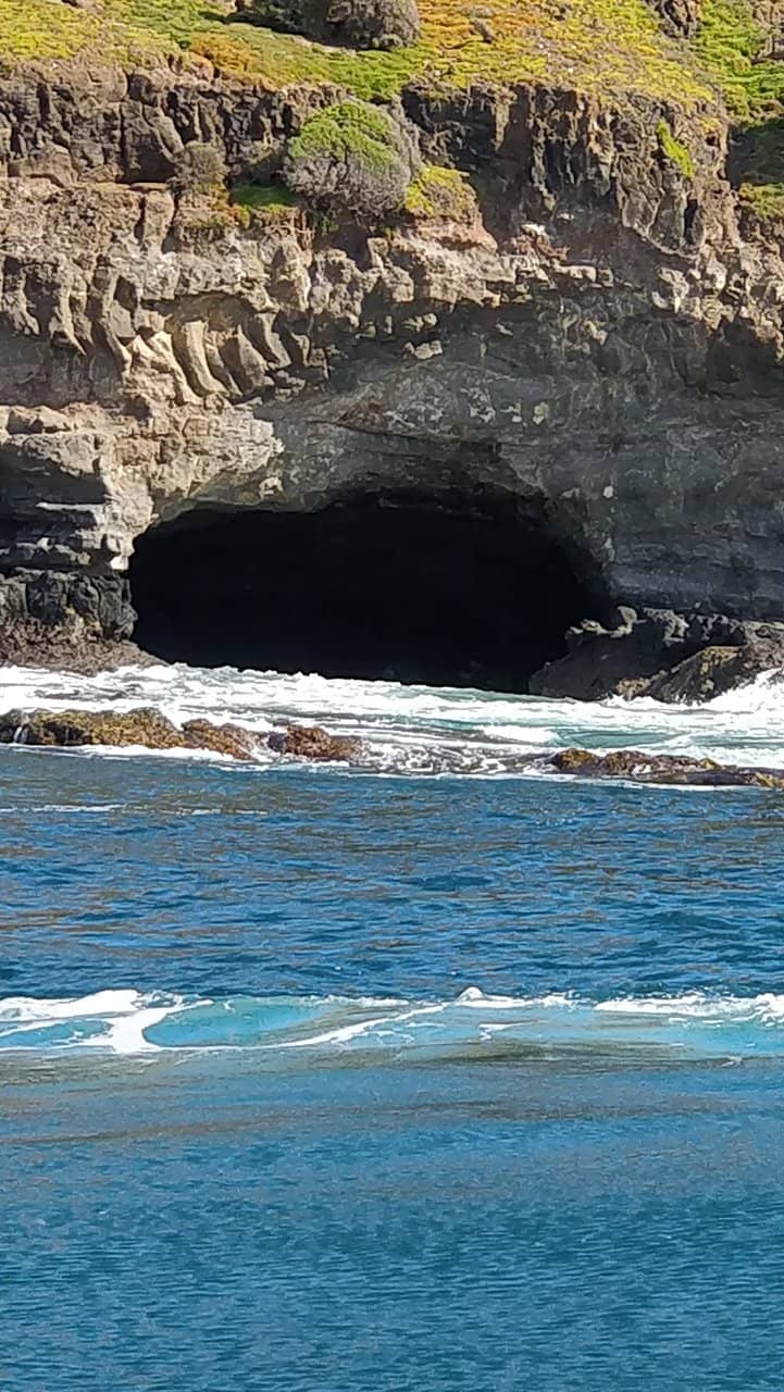 Koala Conservation Reserve