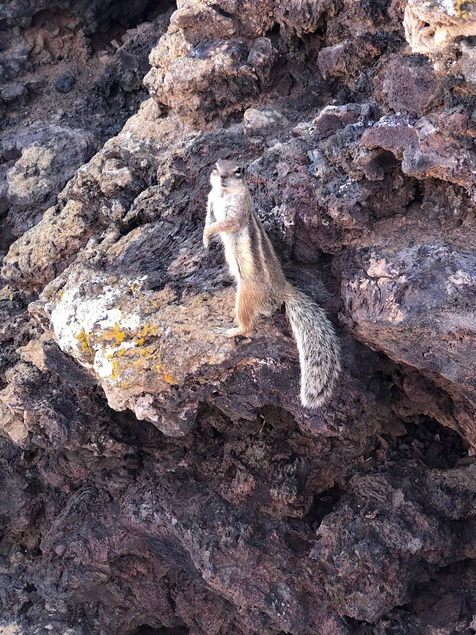 Calderón Hondo Crater Rim
