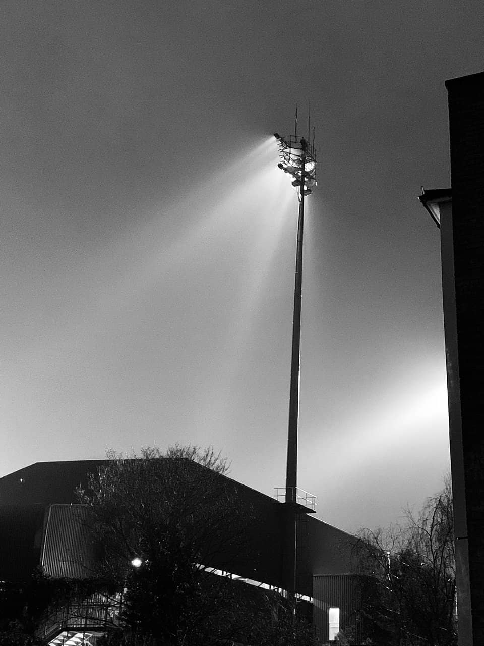 The Iconic Stands