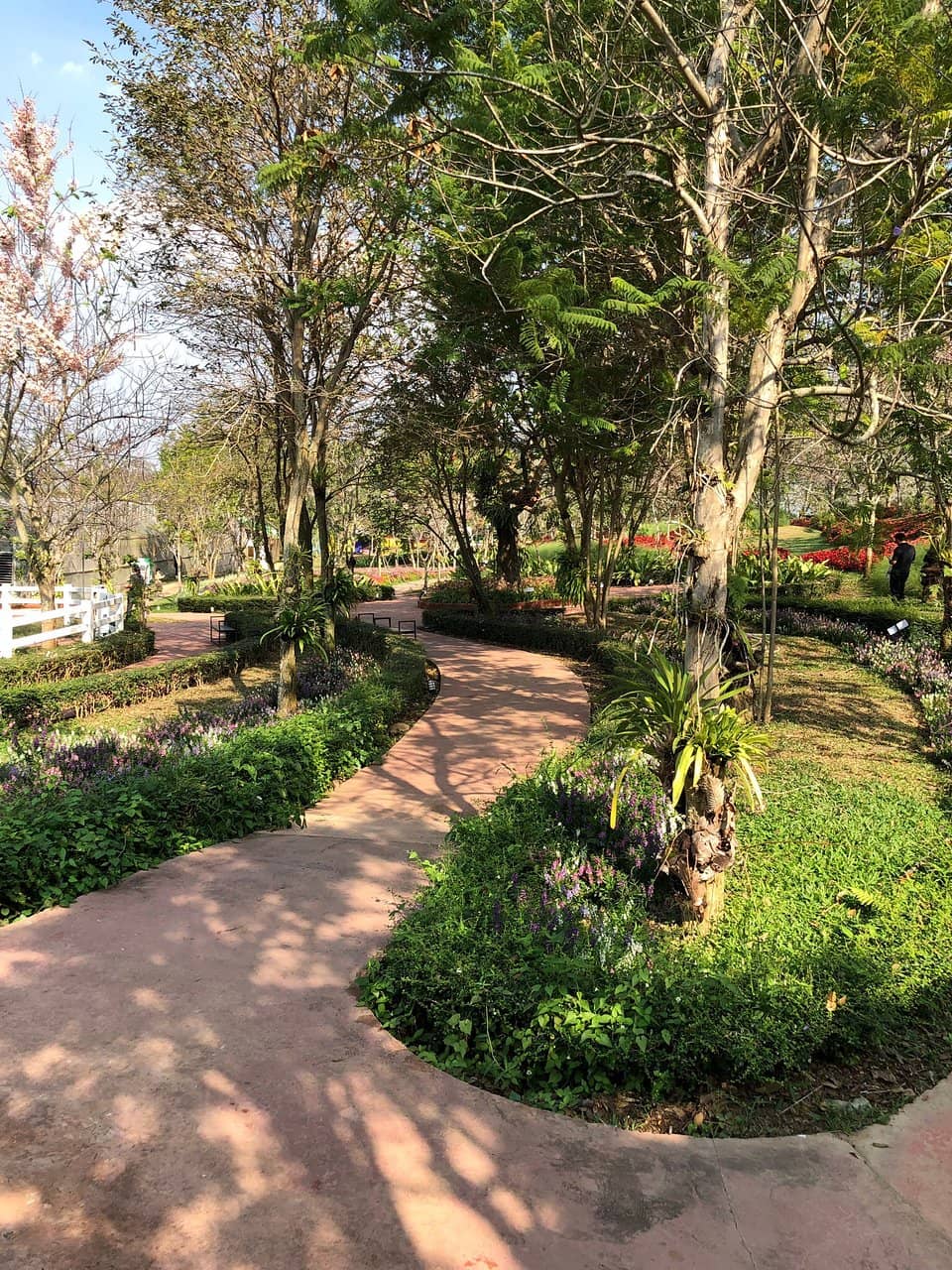 Panoramic Cafe Views