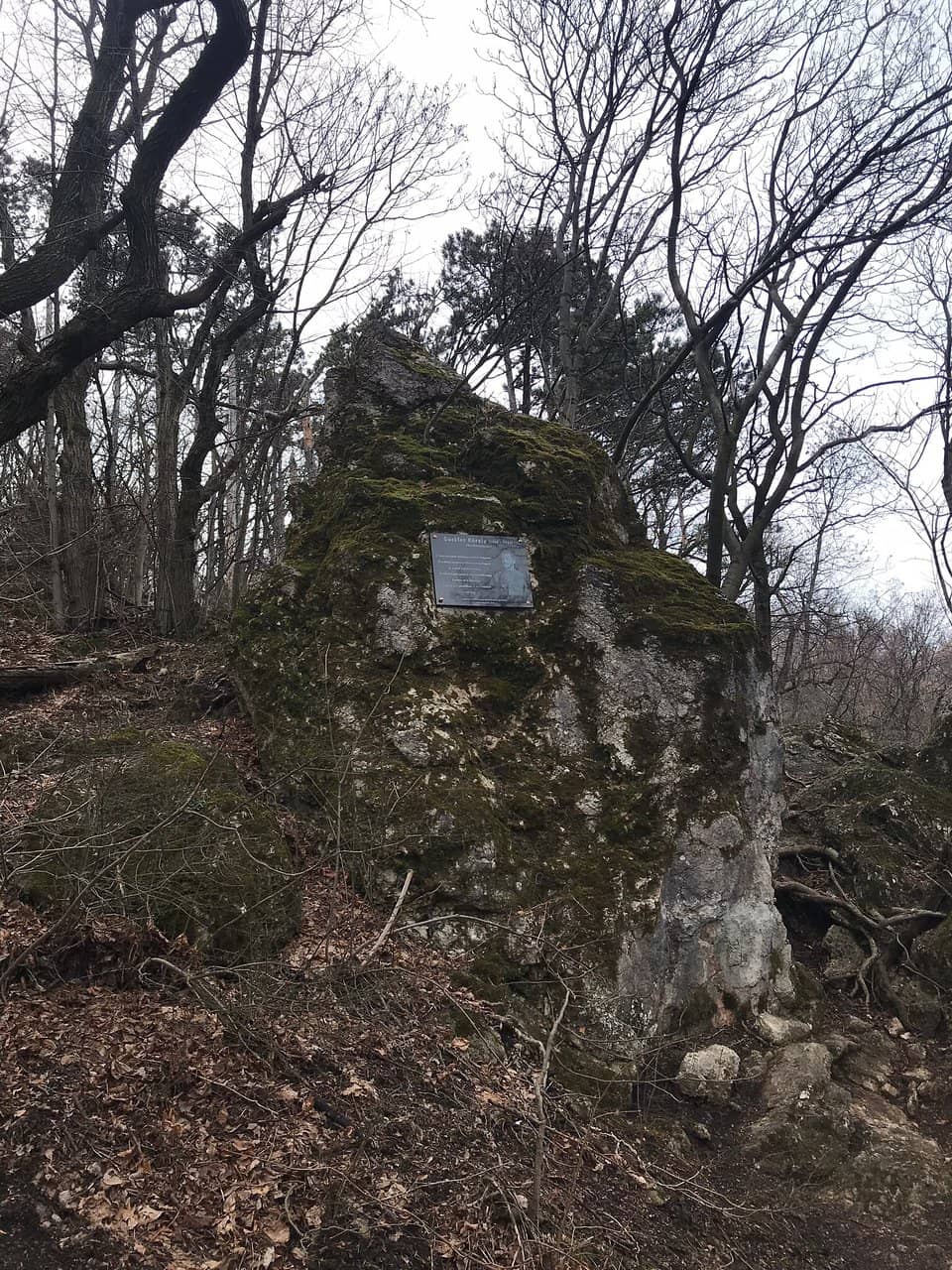 WWII Bunker Remodel
