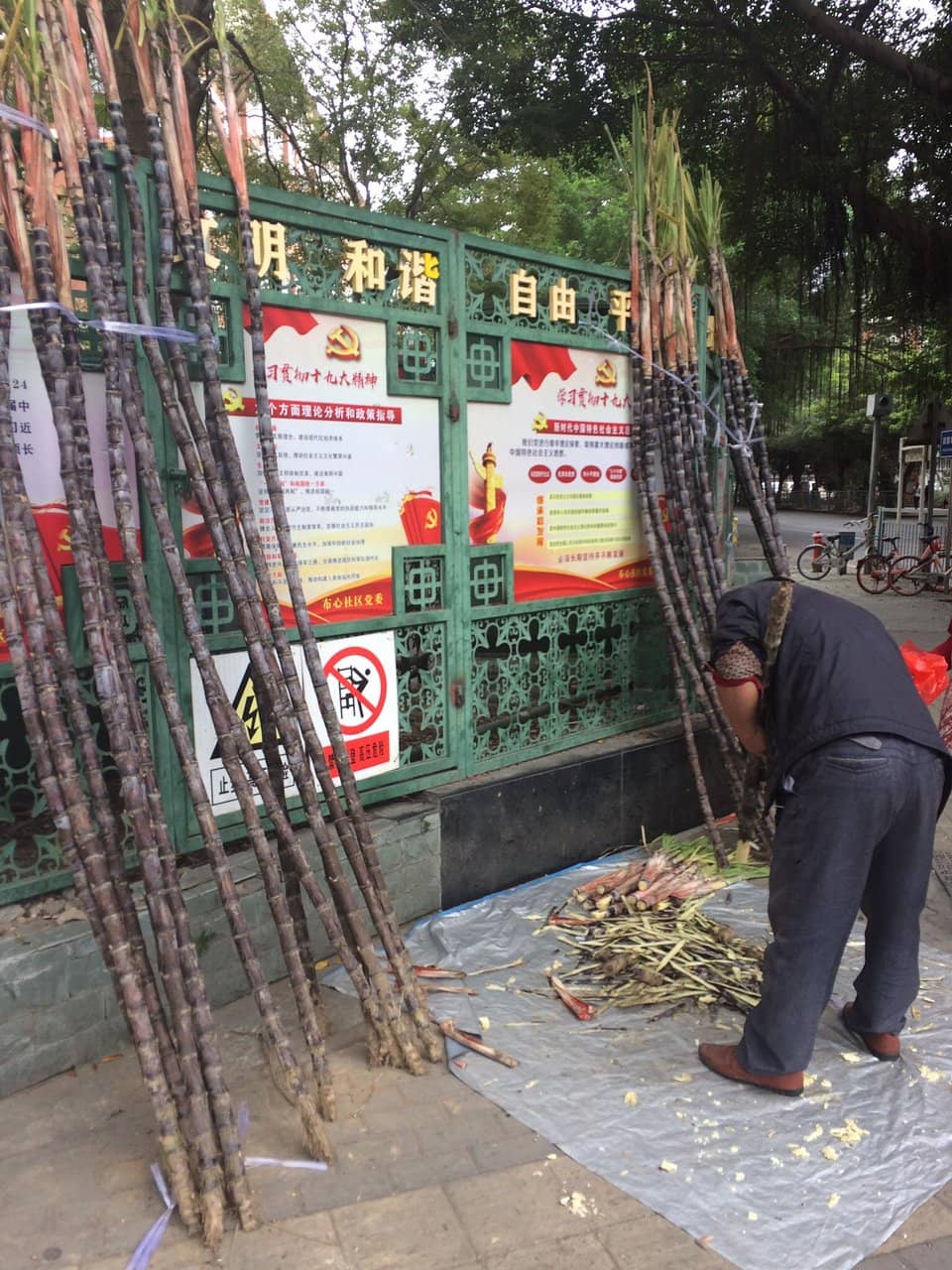 Terminal 3 Architecture