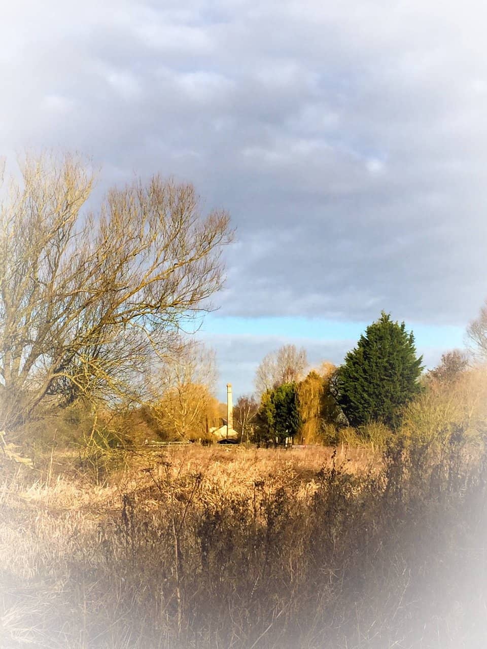 Knowledgeable Volunteer Guides