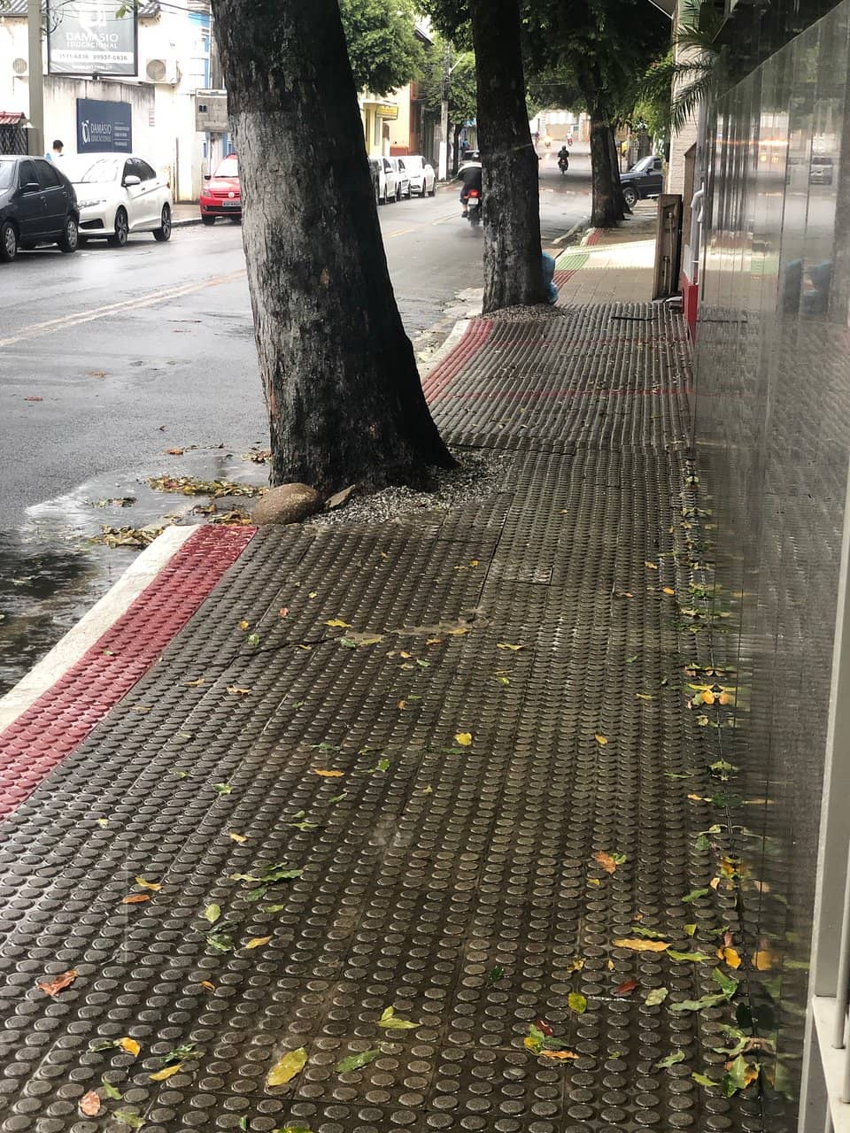 Vertical photo