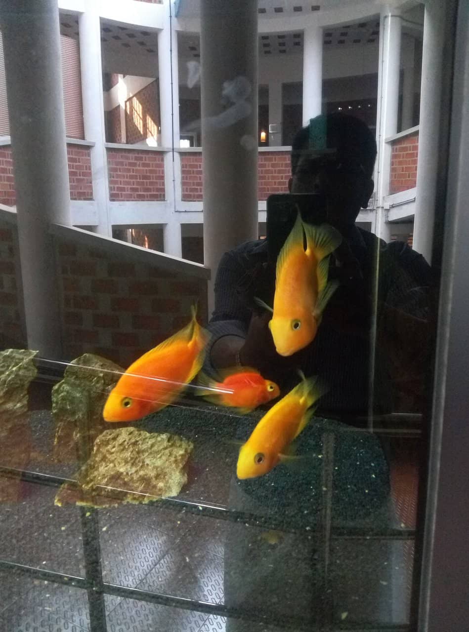 Kids' Play Area