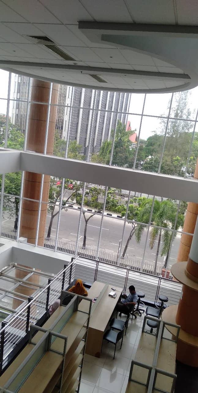 Vast Book Collection