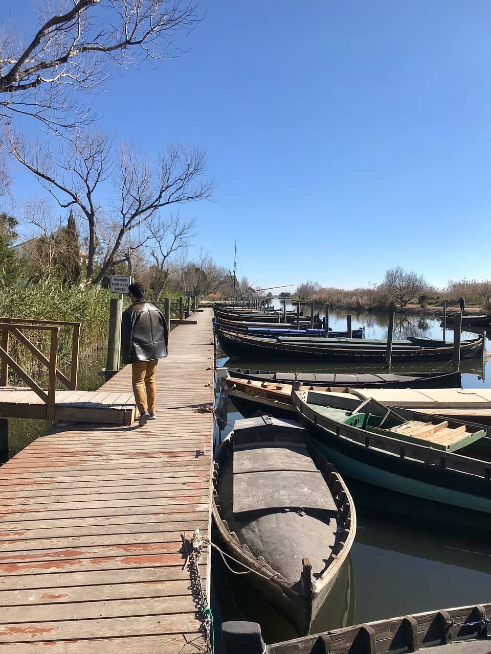 Local Eatery Delights