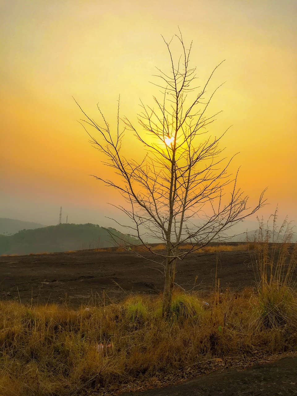 Tranquil Atmosphere
