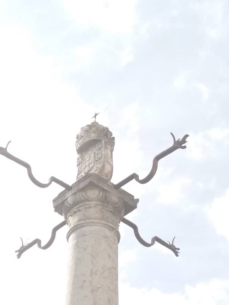 Vertical photo