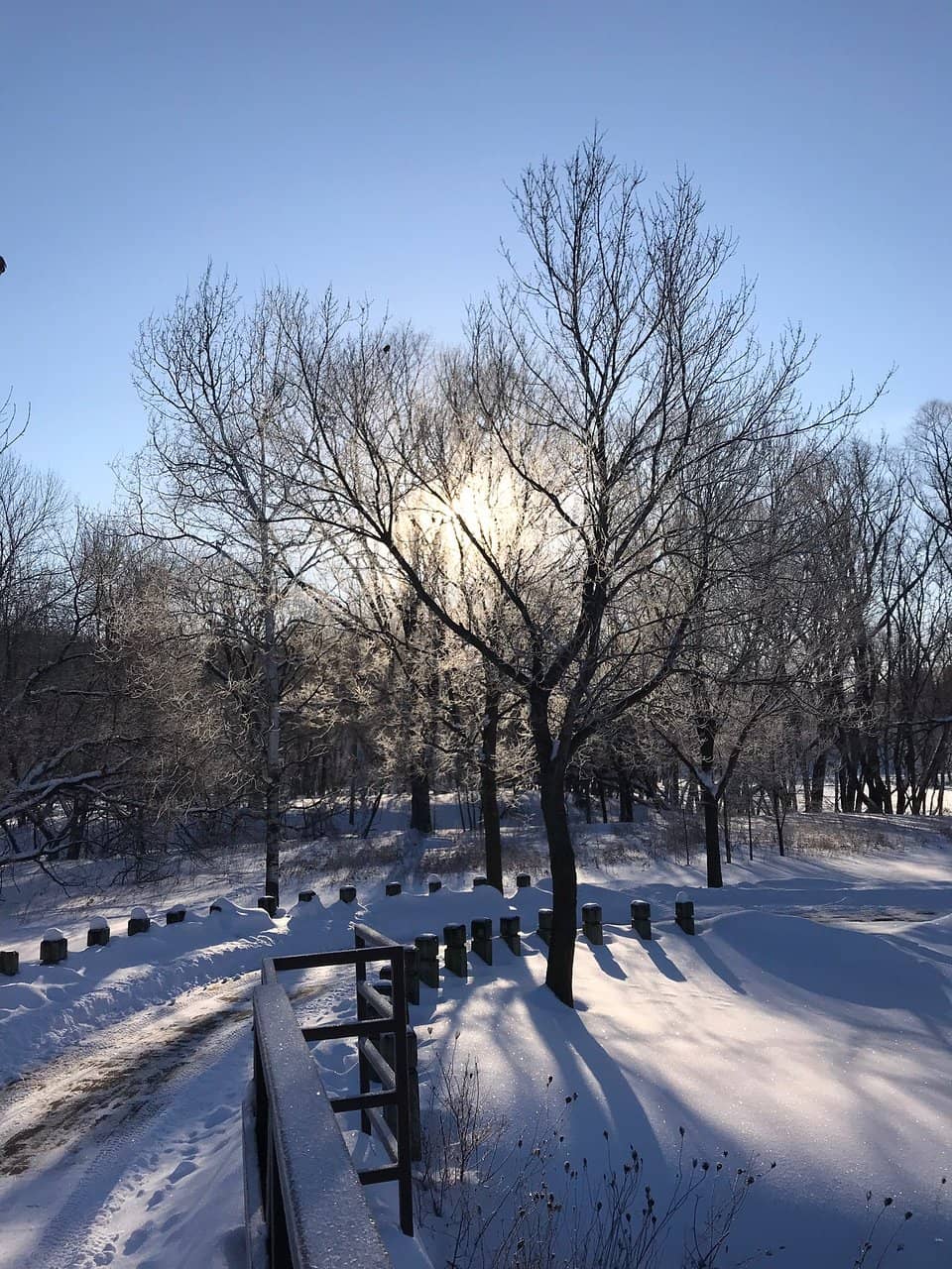 Waterfront Trails