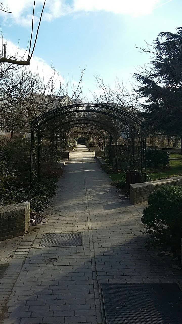 Seasonal Ice Skating