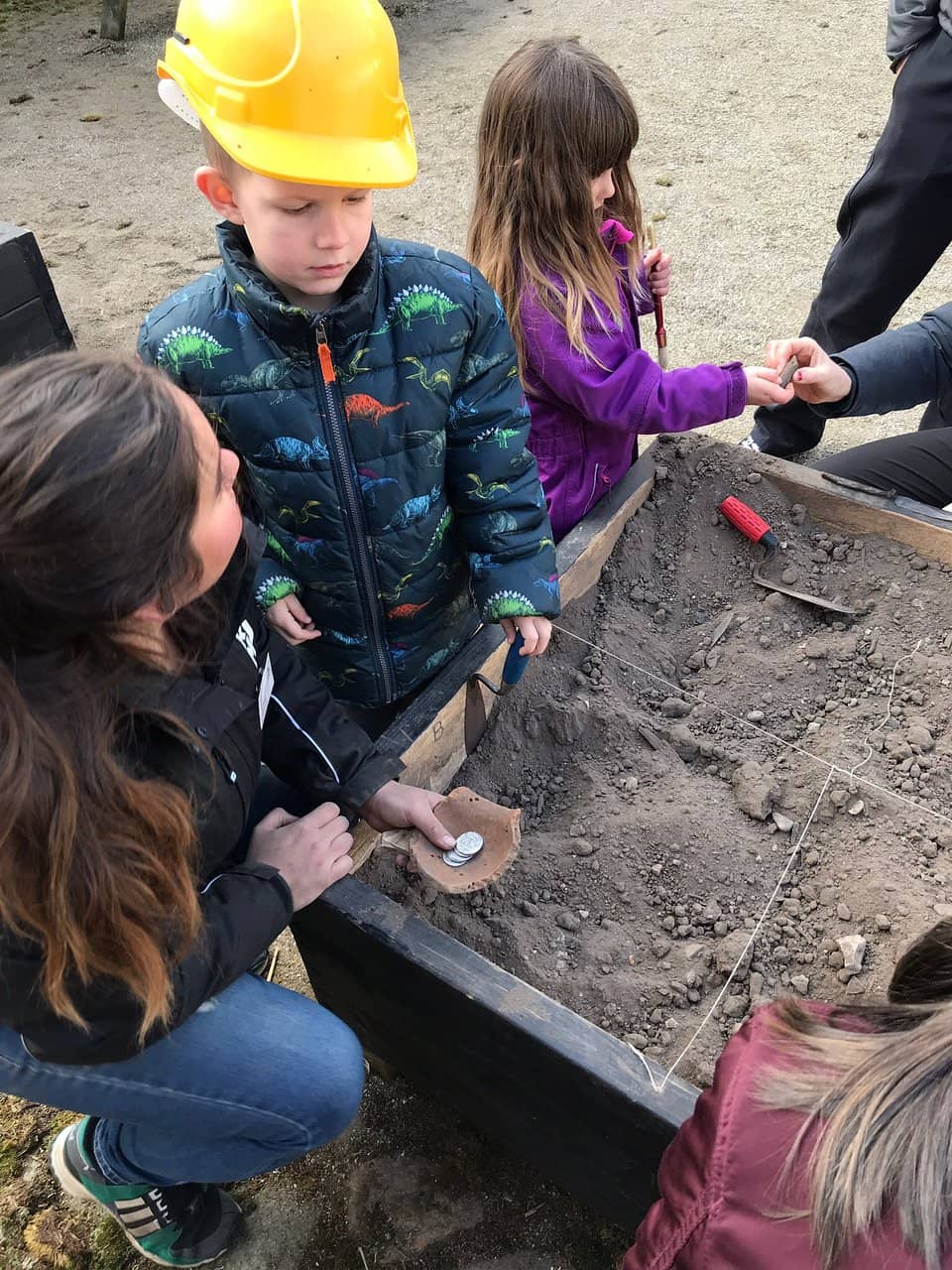 Viking Artifacts Exhibition