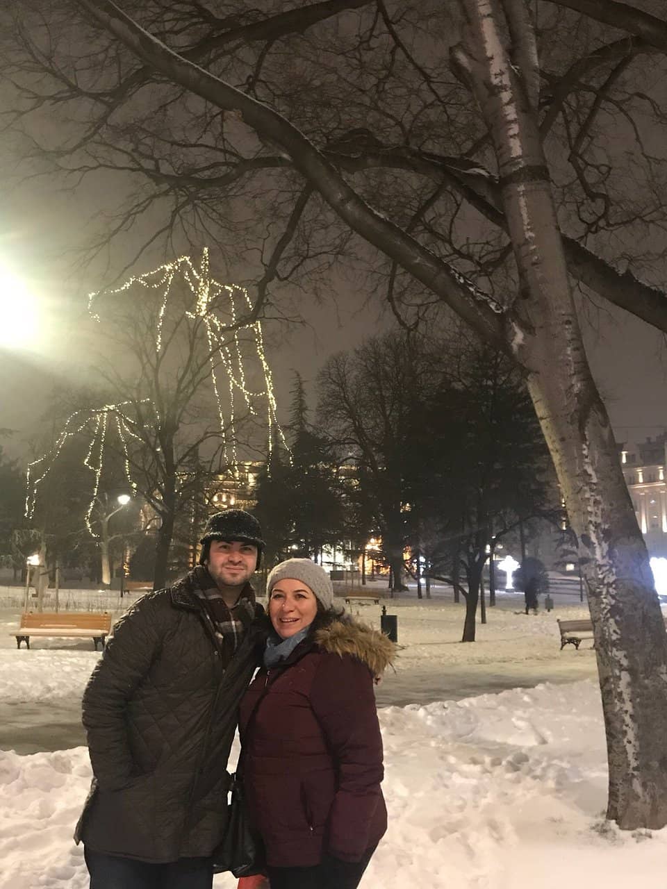 Statue of Nikola Karev