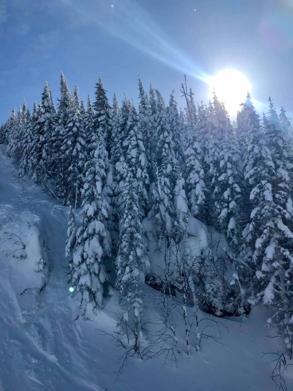 Vertical photo