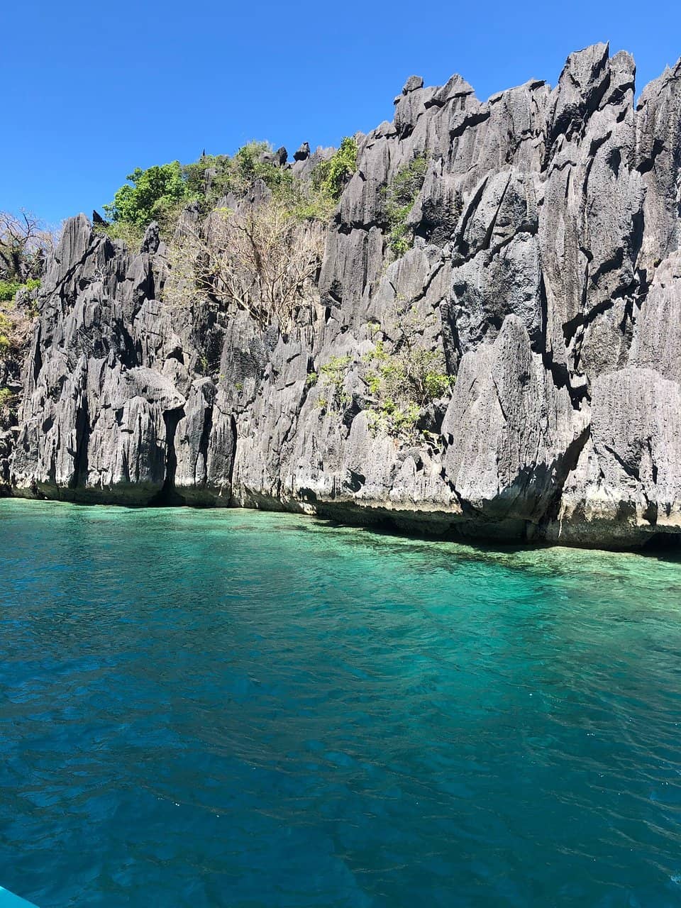 Crystal Clear Brackish Waters