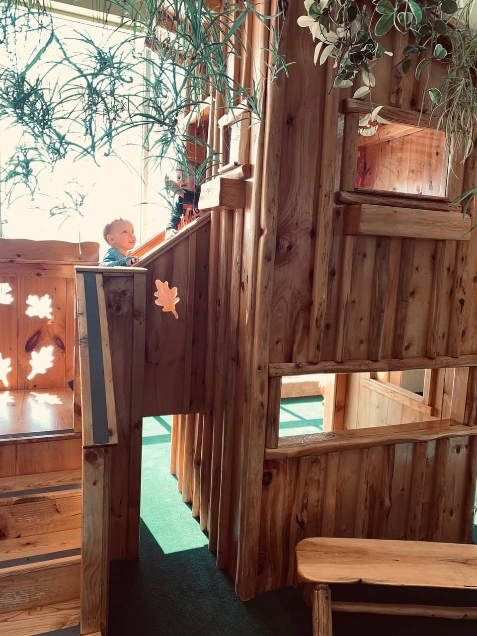 Author Signings & Book Events