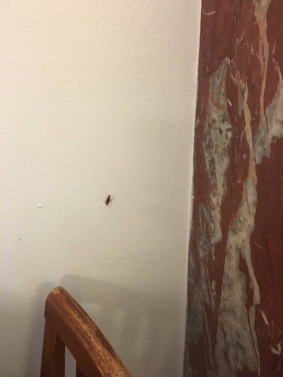 Affordable Central Location